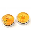 卡通透明 提琴 松香 ROSIN